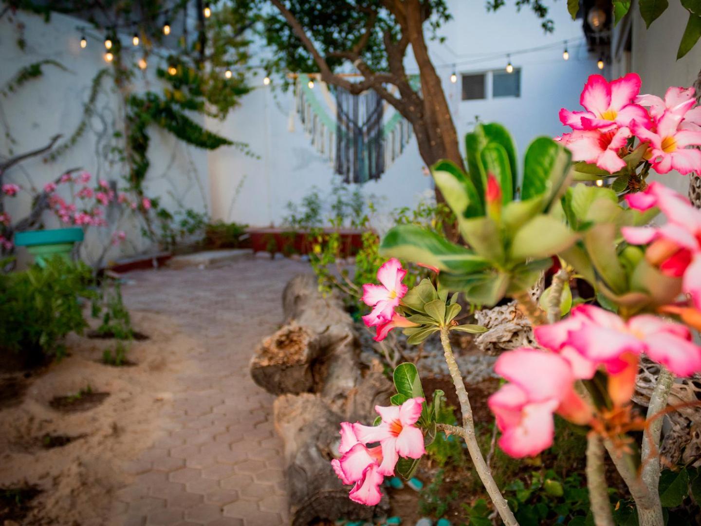 Apartmán Casa Colorida La Paz Exteriér fotografie